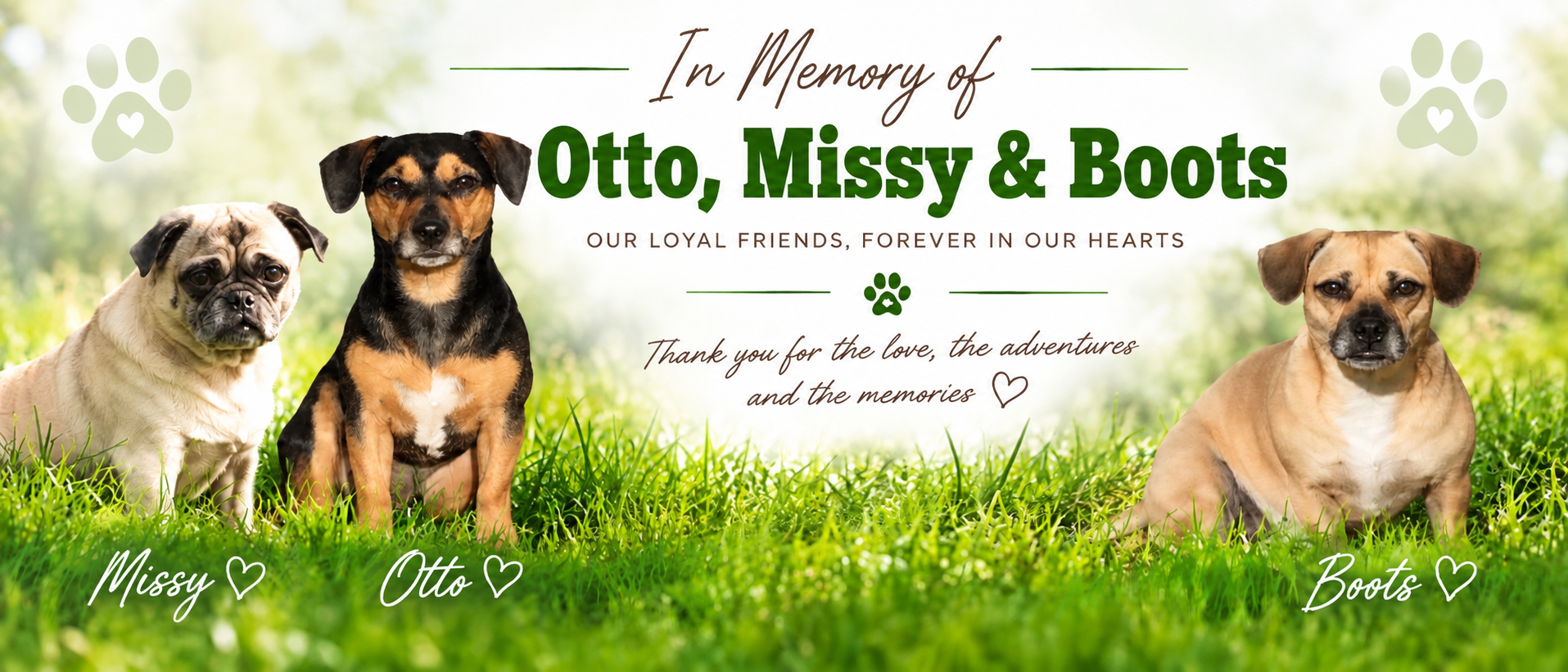 In Memory of Missy, Otto and Boots